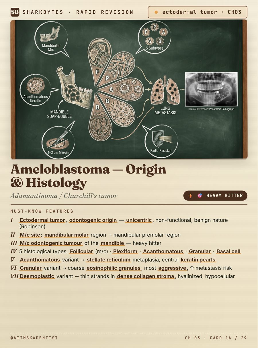 Ameloblastoma revision card